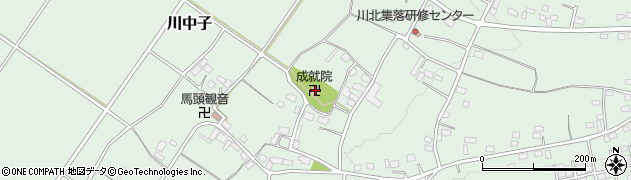 栃木県下野市川中子1113周辺の地図