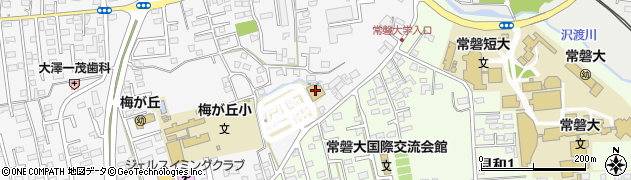 株式会社水戸第一自動車学校周辺の地図