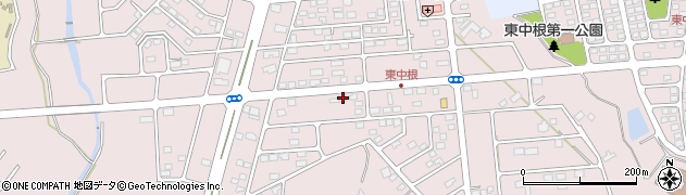 茨城県ひたちなか市中根4734周辺の地図