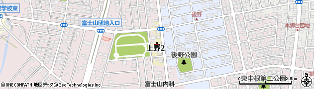 茨城県ひたちなか市上野周辺の地図