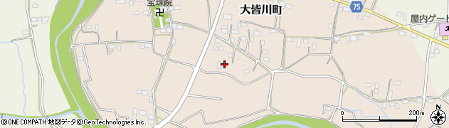 栃木県栃木市大皆川町247周辺の地図