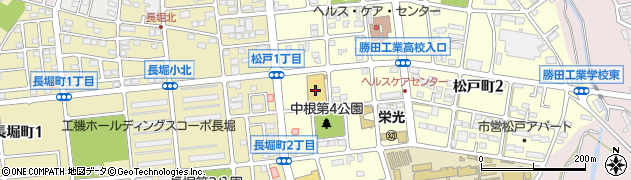 サンユーストアー勝田店周辺の地図