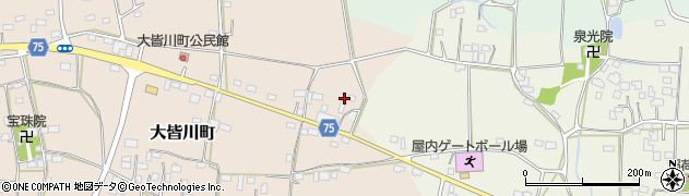 栃木県栃木市大皆川町349周辺の地図