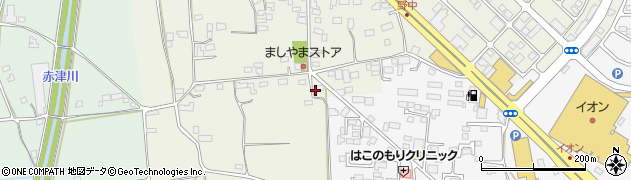 栃木県栃木市野中町223周辺の地図