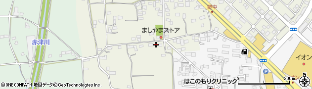 栃木県栃木市野中町224周辺の地図