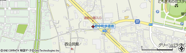 栃木県栃木市野中町503周辺の地図