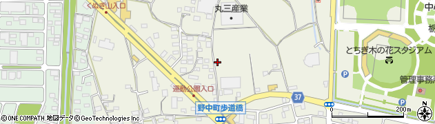 栃木県栃木市野中町539周辺の地図