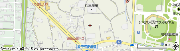 栃木県栃木市野中町周辺の地図