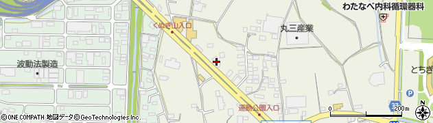 栃木県栃木市野中町464周辺の地図