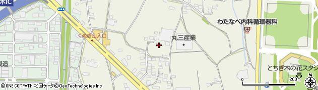 栃木県栃木市野中町914周辺の地図