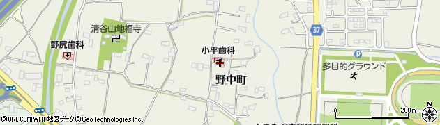 栃木県栃木市野中町856周辺の地図
