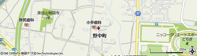 栃木県栃木市野中町865周辺の地図