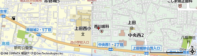 桂株式会社周辺の地図