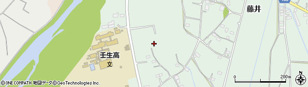 栃木県下都賀郡壬生町藤井1170周辺の地図