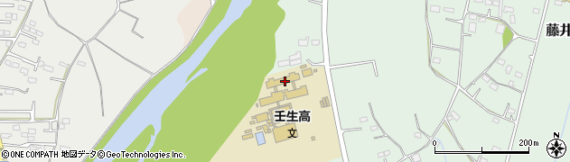 栃木県下都賀郡壬生町藤井1194周辺の地図