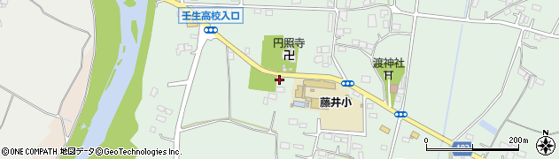 栃木県下都賀郡壬生町藤井1279周辺の地図