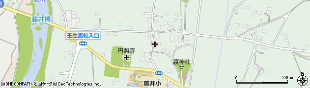 栃木県下都賀郡壬生町藤井1289周辺の地図