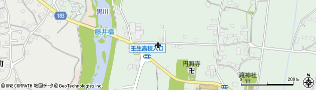 栃木県下都賀郡壬生町藤井1231周辺の地図