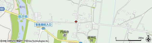 栃木県下都賀郡壬生町藤井1607周辺の地図
