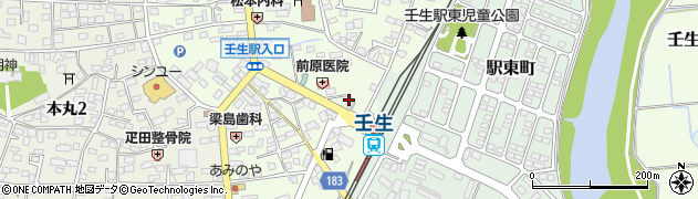 栃木県下都賀郡壬生町中央町3-16周辺の地図