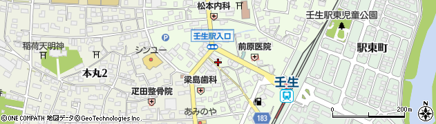 栃木県下都賀郡壬生町中央町12-26周辺の地図