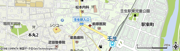栃木県下都賀郡壬生町中央町5-20周辺の地図