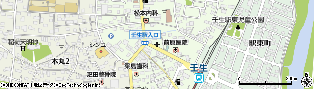 栃木県下都賀郡壬生町中央町5-21周辺の地図