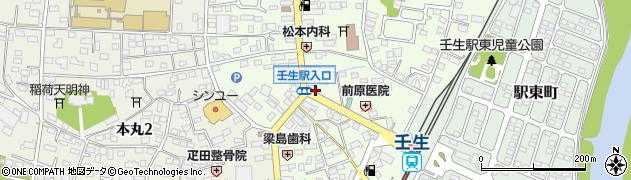 栃木県下都賀郡壬生町中央町5-23周辺の地図