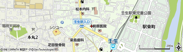 栃木県下都賀郡壬生町中央町5-16周辺の地図