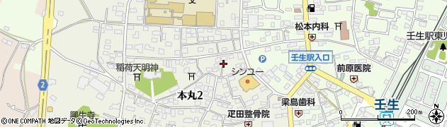 栃木県下都賀郡壬生町本丸2丁目10周辺の地図