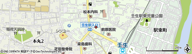 栃木県下都賀郡壬生町中央町5-22周辺の地図