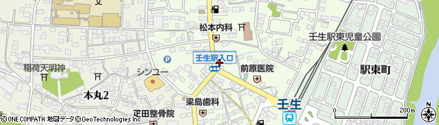 栃木県下都賀郡壬生町中央町5-24周辺の地図