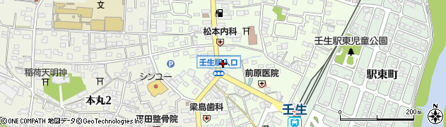 栃木県下都賀郡壬生町中央町5-25周辺の地図
