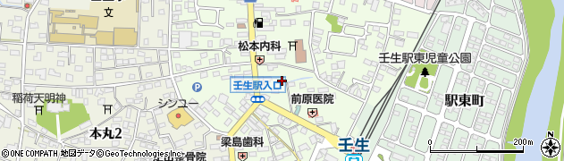 栃木県下都賀郡壬生町中央町5-13周辺の地図