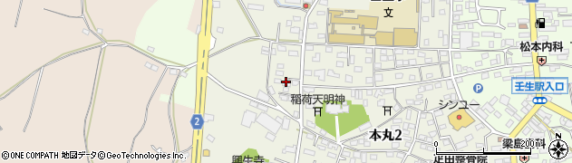 栃木県下都賀郡壬生町本丸2丁目6周辺の地図