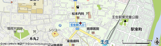 栃木県下都賀郡壬生町中央町5-26周辺の地図
