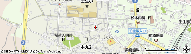 栃木県下都賀郡壬生町本丸2丁目9周辺の地図