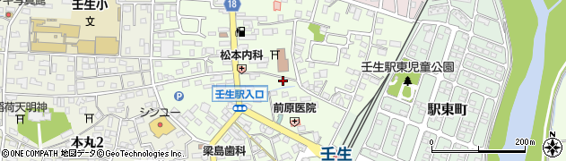 栃木県下都賀郡壬生町中央町5-6周辺の地図