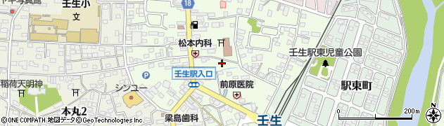 栃木県下都賀郡壬生町中央町5-5周辺の地図