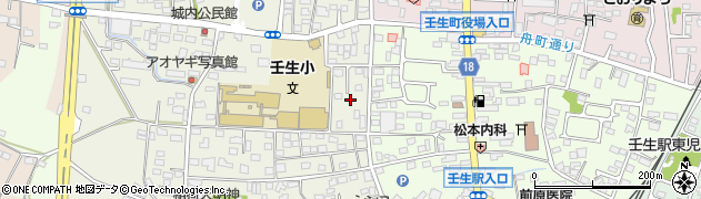 栃木県下都賀郡壬生町本丸2丁目2周辺の地図