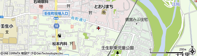 栃木県下都賀郡壬生町中央町2-6周辺の地図