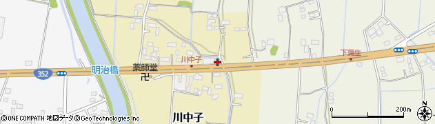 栃木県河内郡上三川町川中子110周辺の地図