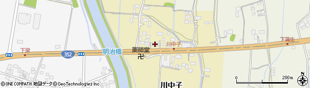 栃木県河内郡上三川町川中子156周辺の地図