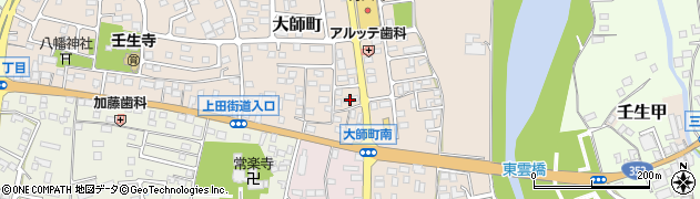 栃木県下都賀郡壬生町大師町17周辺の地図