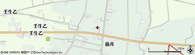 栃木県下都賀郡壬生町藤井2727周辺の地図