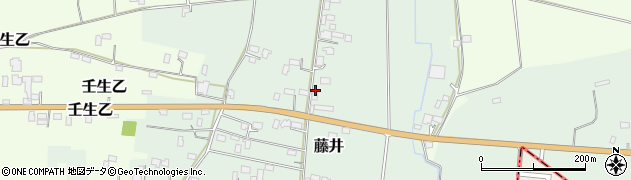 栃木県下都賀郡壬生町藤井2736周辺の地図