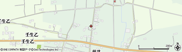 栃木県下都賀郡壬生町藤井2745周辺の地図