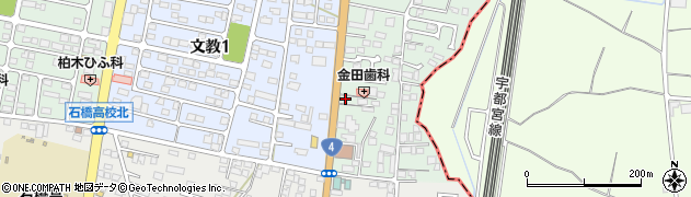 栃木県下野市下古山16-16周辺の地図