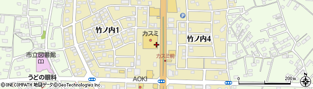 レインボーチェーンカスミ那珂店周辺の地図