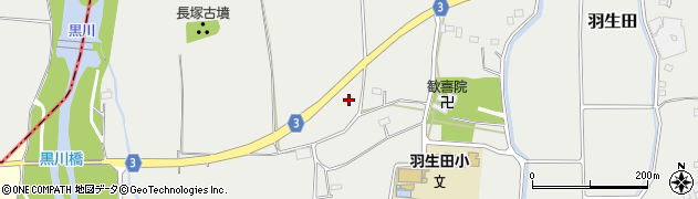 栃木県下都賀郡壬生町羽生田2204周辺の地図